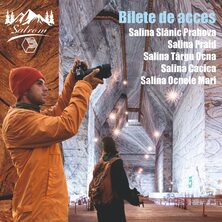 SOCIETATEA NATIONALA A SARII S.A.