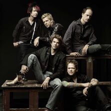 Die Toten Hosen