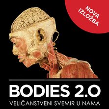 Bodies 2.0, VIP ulaznica