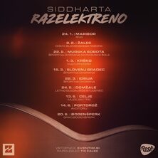 SIDDHARTA - RAZELEKTRENO