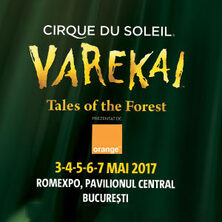 Varekai - Cirque du Soleil 