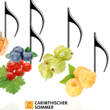 Carinthischer Sommer