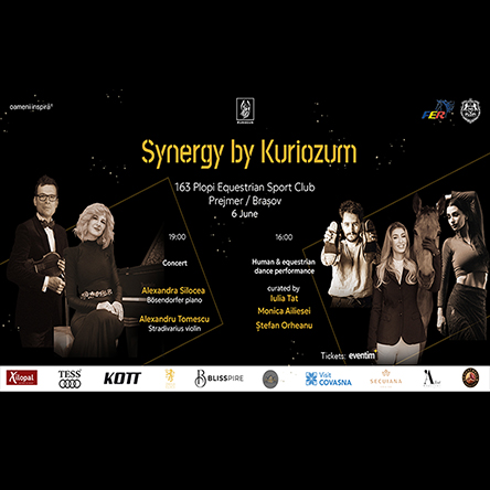 Synergy by Kuriozum