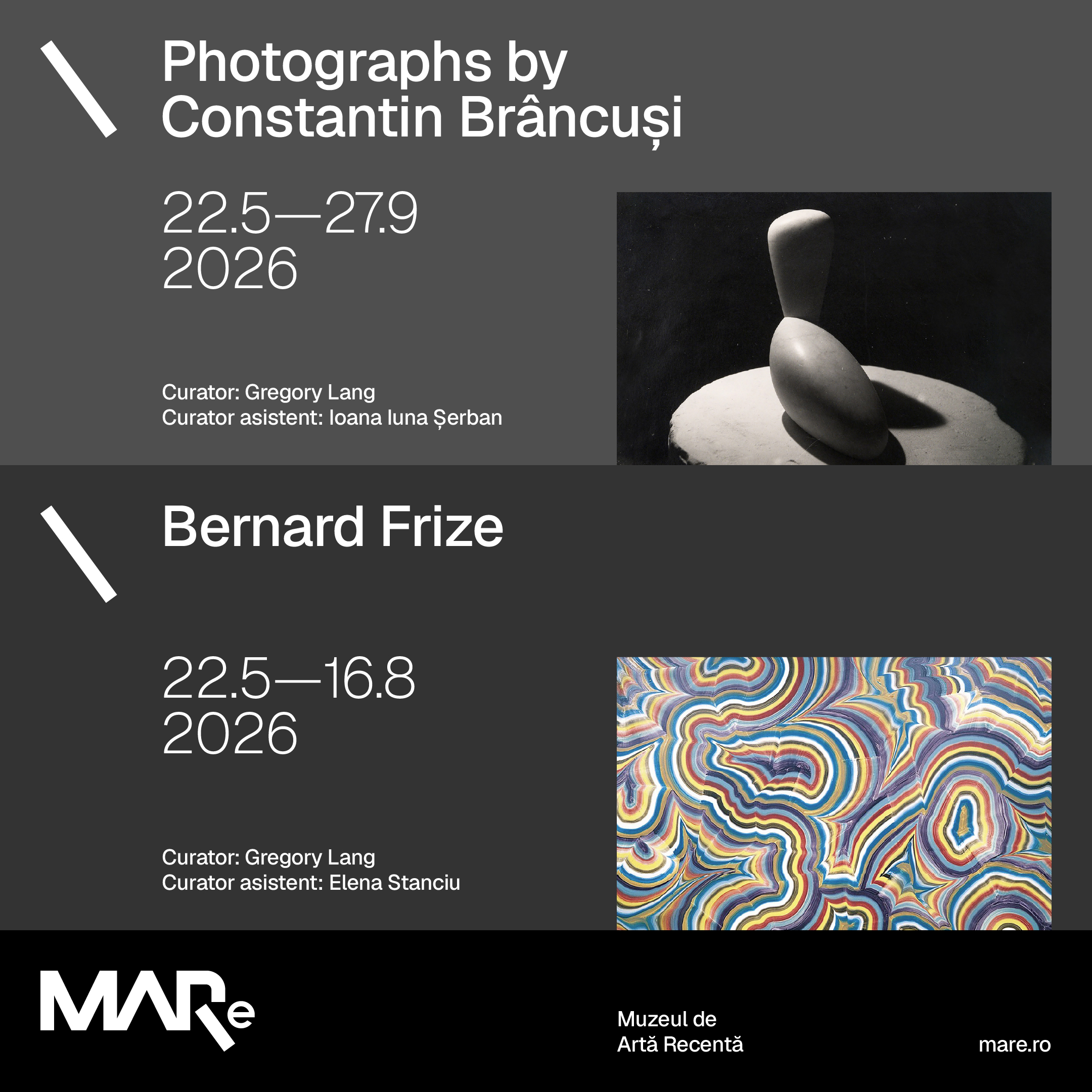 BERNARD FRIZE & PHOTOGRAPHS BY CONSTANTIN BRÂNCUSI